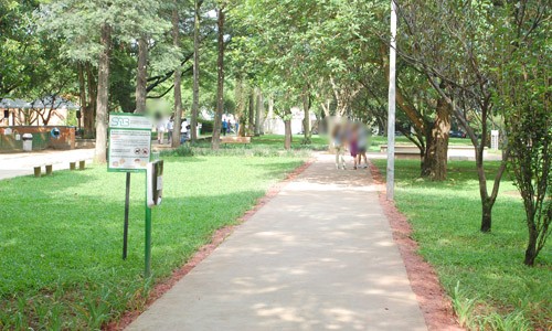 Quremos-passear-pracas-sp-barao-pinto-lima-02.jpg
