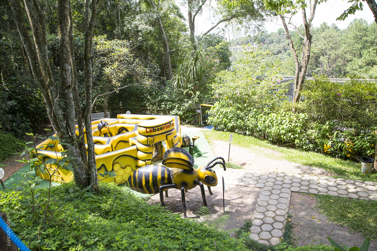 Queremos-passear-natureza-e-animais-metropolitana-parque-cidade-das-abelhas-03.jpg